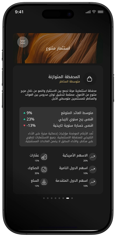 Portfolio Details - moderate